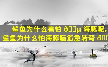 鲨鱼为什么害怕 🐵 海豚呢,鲨鱼为什么怕海豚脑筋急转弯 🌼
